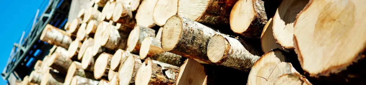 firewood firewood
